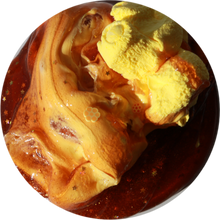 Load image into Gallery viewer, HONEY BEAR