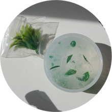 Load image into Gallery viewer, ALOE BATH