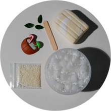 Load image into Gallery viewer, COCONUT CREAM POPSICLE