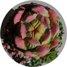 Load image into Gallery viewer, DEANNA'S SUCCULENT GARDEN