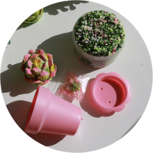 Load image into Gallery viewer, DEANNA'S SUCCULENT GARDEN