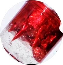 Load image into Gallery viewer, VAMPIRE BLOOD🩸 (LIMITED)