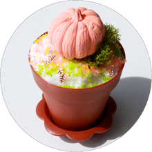 Load image into Gallery viewer, PUMPKIN PATCH MEMORIES