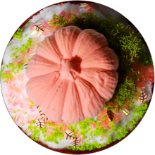 Load image into Gallery viewer, PUMPKIN PATCH MEMORIES