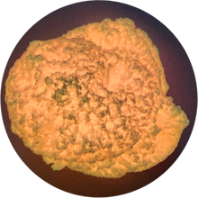 Load image into Gallery viewer, KAWAII KOBWEBS (GLOW IN THE DARK)
