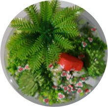 Load image into Gallery viewer, MOSSY FAIRY FOREST
