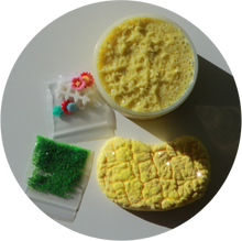 Load image into Gallery viewer, YELLOW BRICK BISCOTTI
