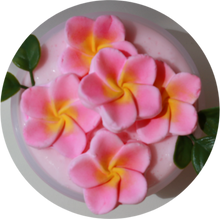 Load image into Gallery viewer, PINK PLUMERIA BODY SOUFLEE
