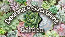 Load image into Gallery viewer, DEANNA'S SUCCULENT GARDEN

