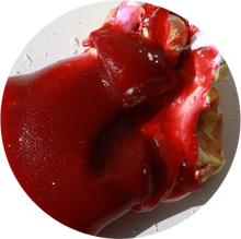 Load image into Gallery viewer, O-POSITIVE DONUT
