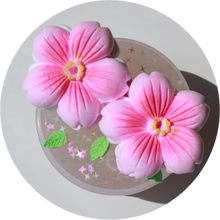 Load image into Gallery viewer, SAKURA MACARON (BACK ONLY FOR BLACK FRIDAY)
