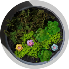 Load image into Gallery viewer, SPRING TERRARIUM
